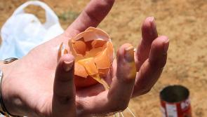 Stop Food Waste Challenge in Kilkenny