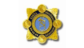 Kilkenny gardaí make important plea to local drivers 