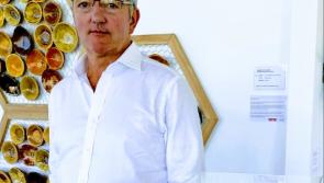 Kilkenny artist  exhibiting at  prestigious sculpture exhibition at National Botanic Gardens