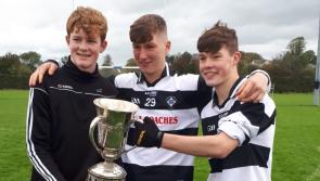 Harry shines as Kilkenny's St Kieran's take Leinster and qualify for All-Ireland final