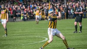 Nine Kilkenny players on All-Stars shortlist