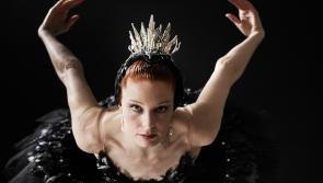 Swan Lake for Kilkenny  city