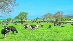 IFA’s Smart Farming identifies potential savings of €5,600