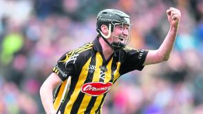 Martin Comerford joins Kilkenny senior hurling Selection Committee