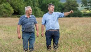 A double-first for Forestry Services Ltd Kilkenny