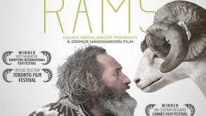 Last chance to see the amazing Rams at Subtitle Film Festival in Kilkenny