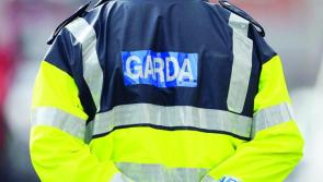Concerns raised by councillors over garda resources in Kilkenny