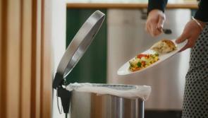 New app launched to cut down on food waste in Kilkenny