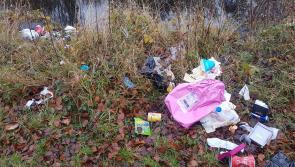 Illegal dumpers giving ‘two fingers’ to public in Kilkenny