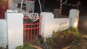 Heartless vandals destroy festive charity Christmas display in Ballyragget