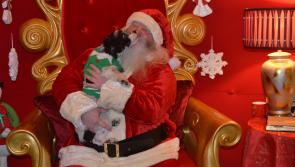 Kilkenny people bring their pets to visit Santa!