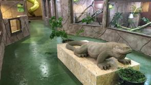 The National Reptile Zoo in Kilkenny is asking for support to help feed the animals