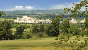 Red Mills doing its bit for the environment in Kilkenny