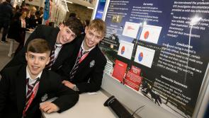 Kilkenny students hope to be crowned top boffins at the BT Young Scientist Exhibition