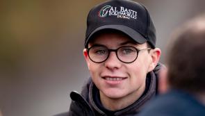 Can Joseph O'Brien bring a prized Punchestown Moscow Flyer title back to Owning stables?