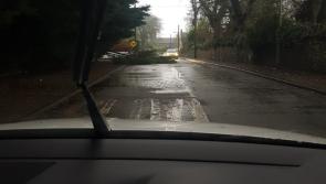 Storm Brendan brings down trees across Kilkenny 