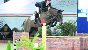 Fianna Fáil TDs meet horse industry leaders 
