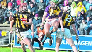 More Wexford woe, but with a little extra Cats can bridge gap