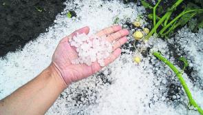 February freeze vital to kickstart crops
