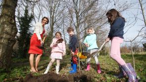 Kilkenny Support for One Million Trees Campaign