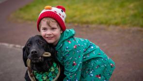 Free community walk and pet weight check in Kilkenny