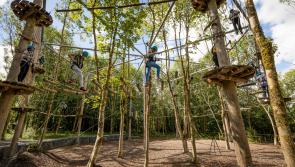 10 Reasons to have a Family Staycation in Kilkenny