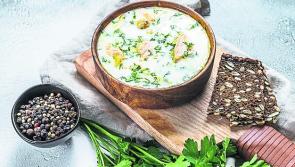 The art of cooking - from the best new local chefs