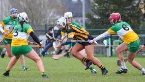 Second Camogie League defeat for Kilkenny ends interest in top end of table