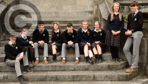 Gallery: Grease is the word - Kilkenny schools  pair up to make musical magic