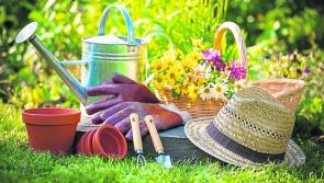 The ever-changing face of gardening