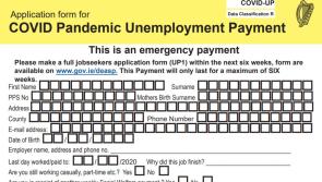 Numbers claming Pandemic Unemployment Payment in Kilkenny fall by 1,000 