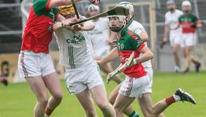 The proposed schedule for Kilkenny senior hurling games if............. 