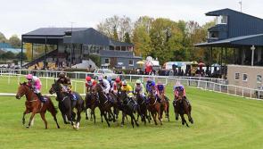 Mental health app Leafyard rolled-out for Irish jockeys