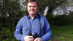 Kilkenny - Take the Garden Biodiversity Challenge