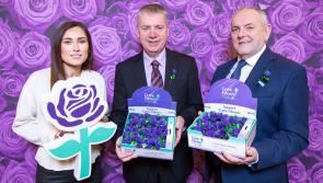 65 Roses Day Goes Virtual… Kilkenny people urged to support Cystic Fibrosis Ireland