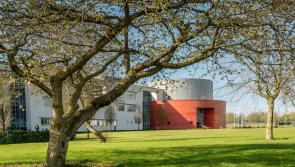 Waterford Institute of Technology exams to be replaced by alternative assessment