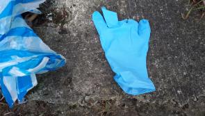 Kilkenny's litter-picking heroes should take a break during Covid-19 crisis - council