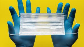 Principals call for schools to donate stock of personal protective equipment to HSE 