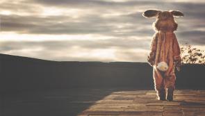 Important news for Kilkenny children! Easter Bunny considered an essential worker during pandemic