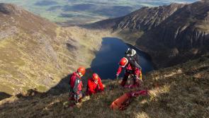 WATCH: Miraculous rescue of working sheepdog stuck on Waterford mountains