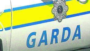  Gardaí seek witnesses to fatal two-car collision where vehicle overturned