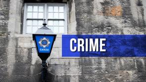 Garden shed burgled in rural Kilkenny