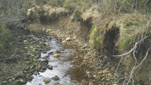 'Dropped dramatically,' shocking statistic about number of pristine rivers in Ireland 