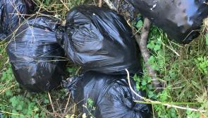 'Disgraceful': Household and house party waste dumped in North Kilkenny