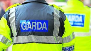 Motorist arrested at Kilkenny-Laois border 