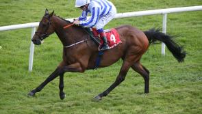 Good news for Kilkenny racing fans - horse-racing to resume in June