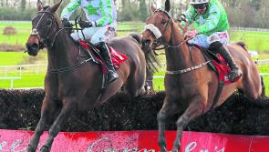 Gowran Park gets ready to welcome horse-racing back in June