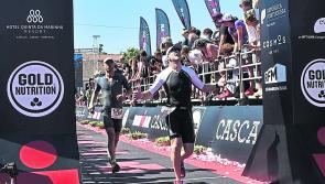 A Day in the Life of Noel Sugrue