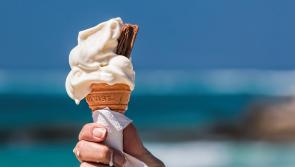 Phew! What a scorcher - Kilkenny to hit 28 degrees today!