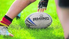 Bad news for young Kilkenny rugby fans as Leinster cancel summer camps
